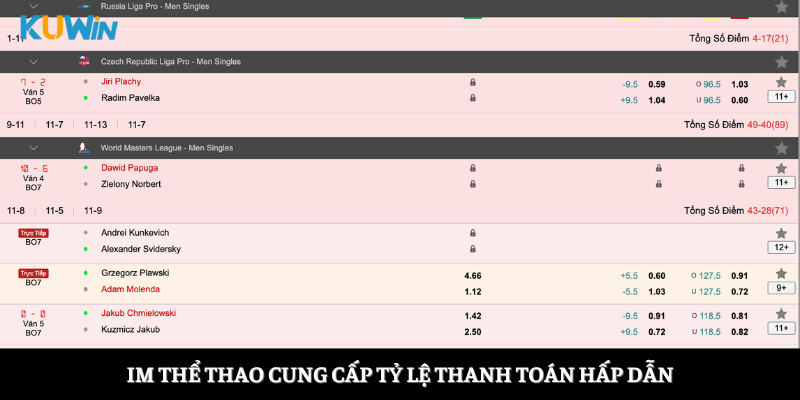 IM thể thao cung cấp tỷ lệ thanh toán hấp dẫn