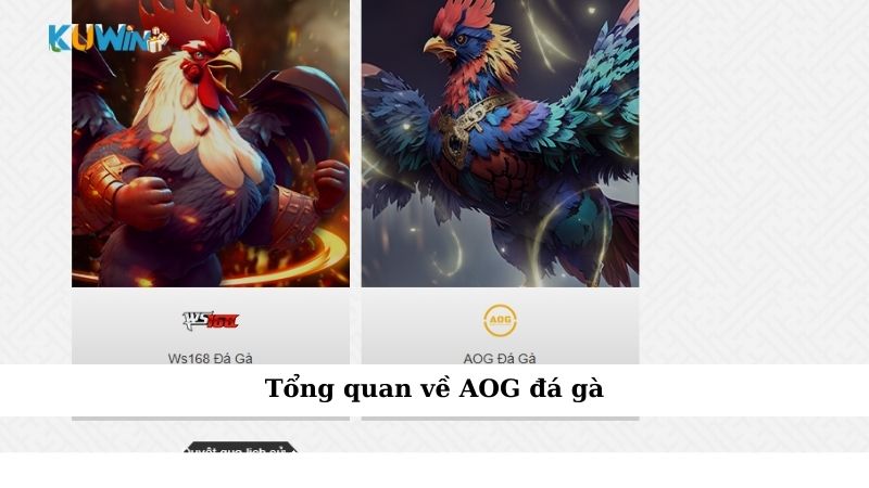 Tổng quan về AOG đá gà